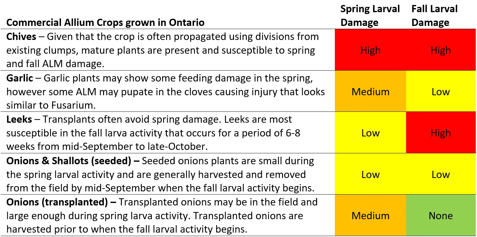 Commercial Allium Crops grown in Ontario and the risk of ALM larval damage.